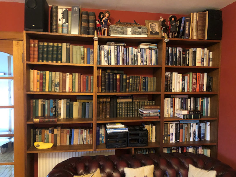 Bookcase in lounge